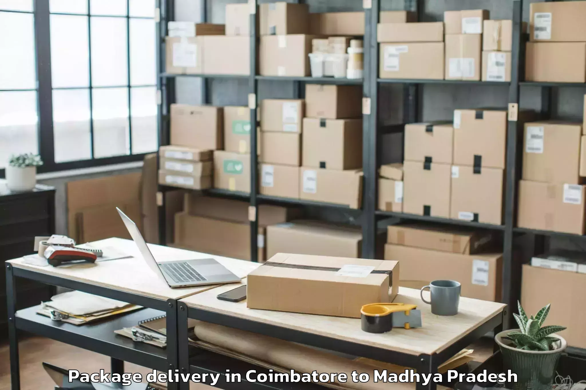 Efficient Coimbatore to Rewa Airport Rew Package Delivery